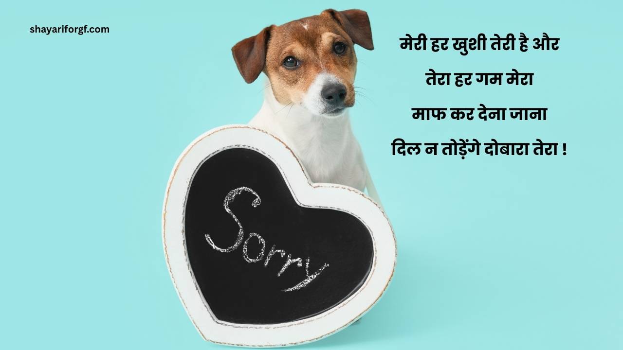 Sorry love shayari in hindi for girlfriend