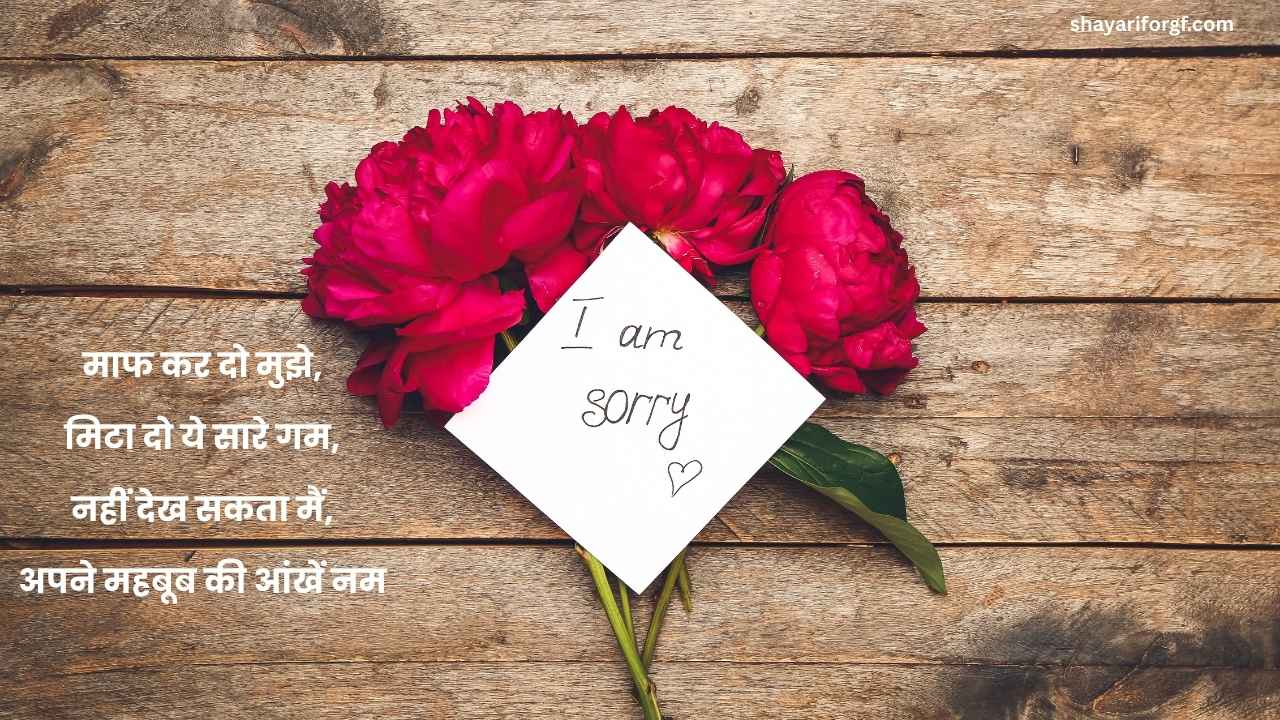 Sorry shayari for Girlfriend
