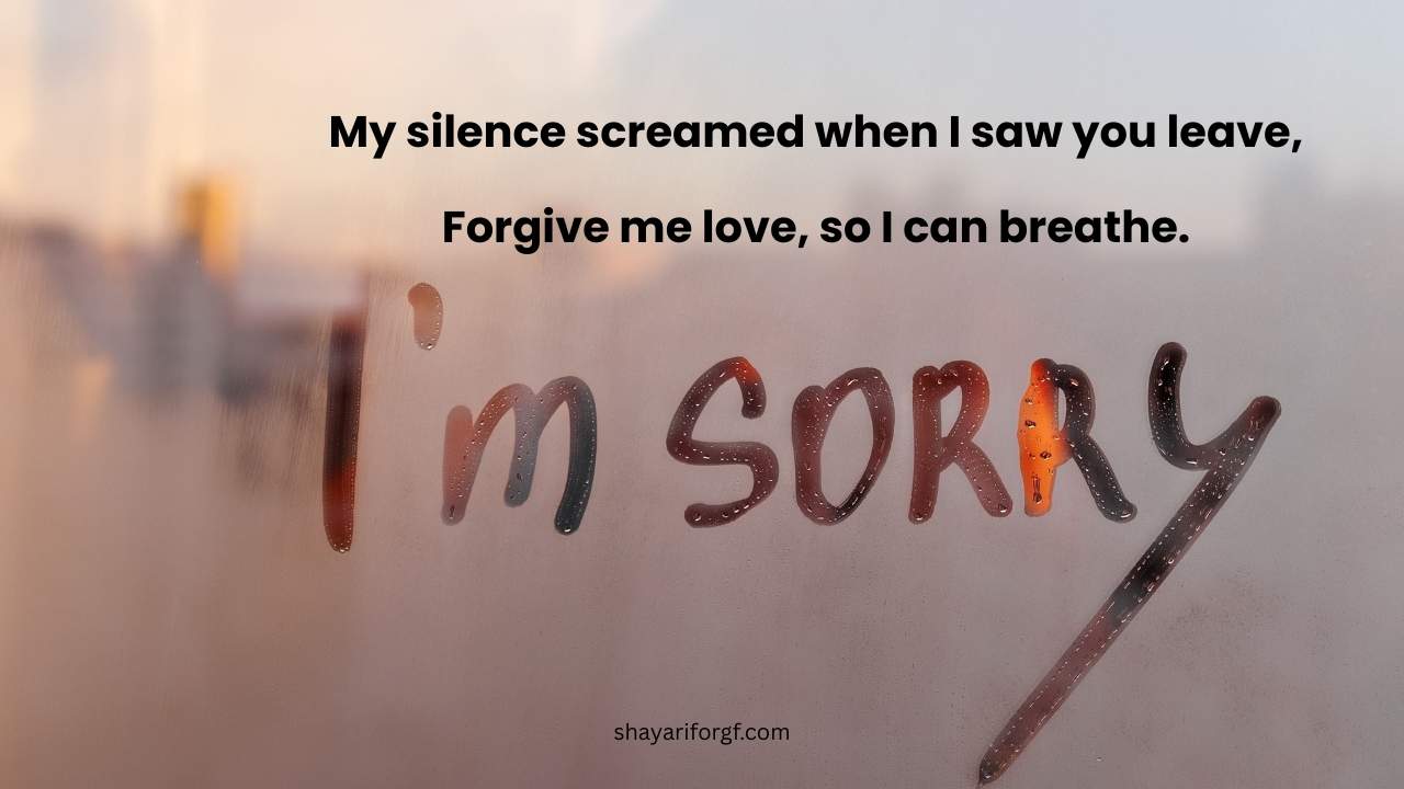 Sorry shayari for gf in english