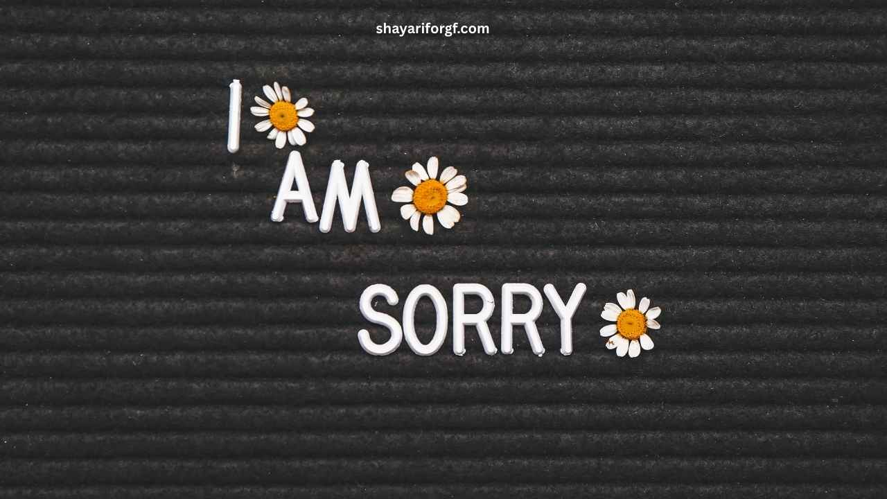 Sorry text messages 1000 times