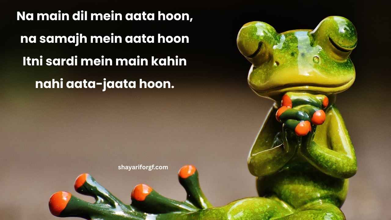 Funny shayari for girlfriend english
